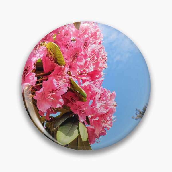 Item preview, Pink Rhododendrons designed and sold by Bee Buddy Photography.