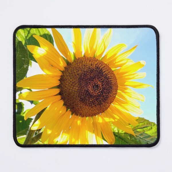 Item preview, Sunflower designed and sold by Bee Buddy Photography.