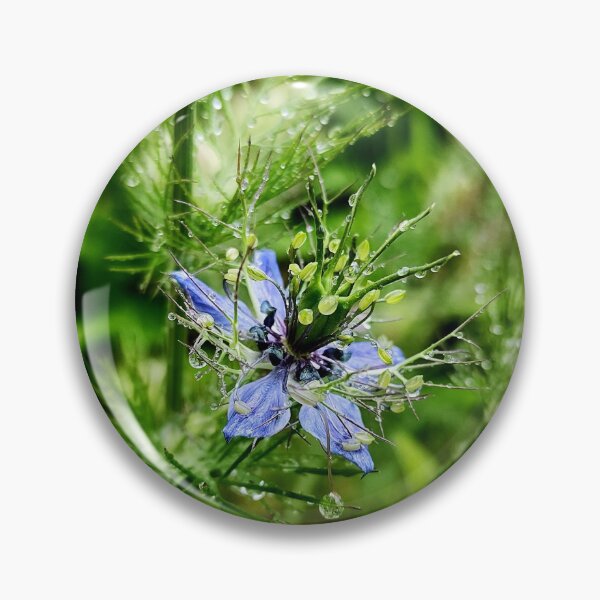 Item preview, Blue Flower Adorned with Raindrops designed and sold by Bee Buddy Photography.
