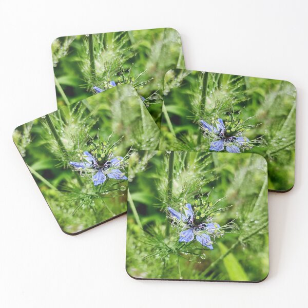 Item preview, Blue Flower Adorned with Raindrops designed and sold by Bee Buddy Photography.