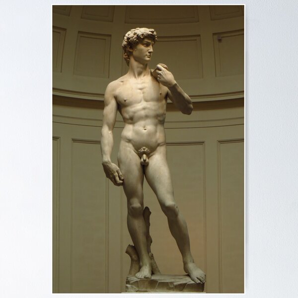 Item preview, David; Michelangelo's Masterpiece designed and sold by wiggyofipswich.