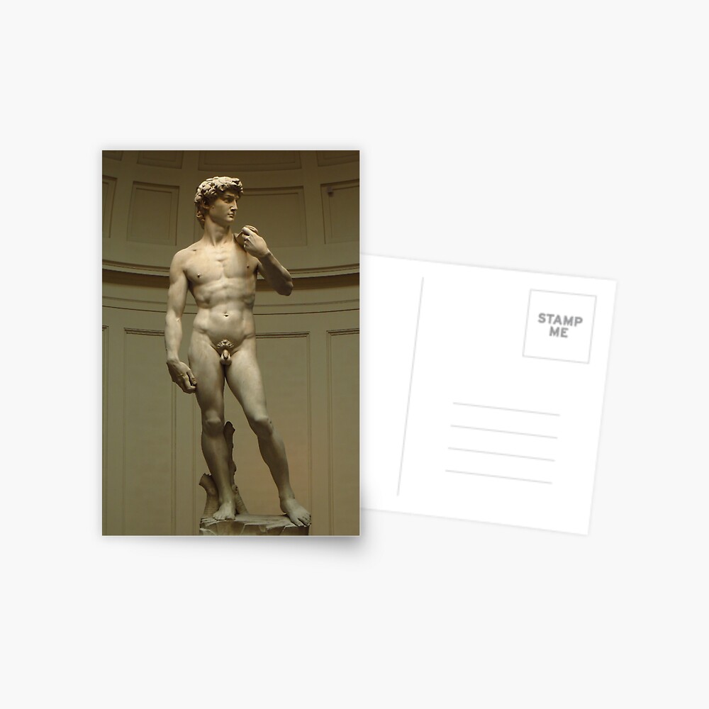 David; Michelangelo's Masterpiece Postcard