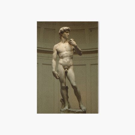 David; Michelangelo's Masterpiece Art Board Print