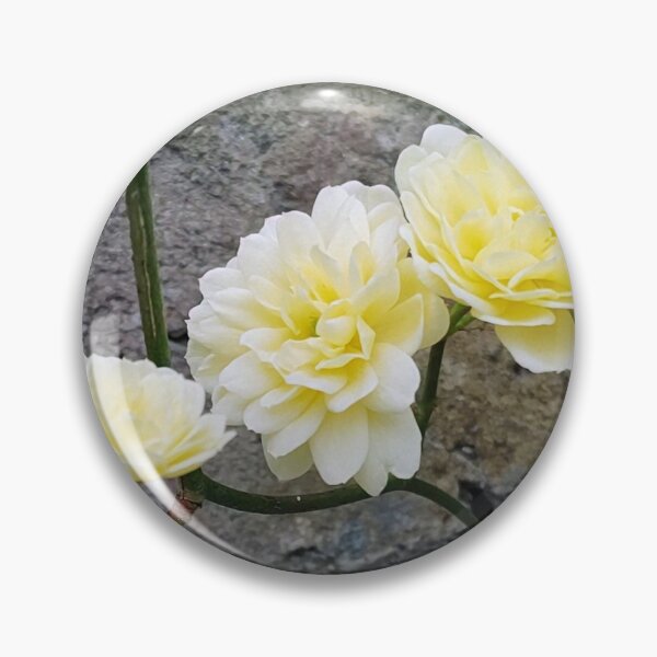 Item preview, Fluffy Yellow Flowers designed and sold by Bee Buddy Photography.