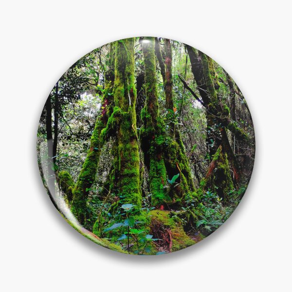 Item preview, Mossy Forest designed and sold by troianifabrizio.