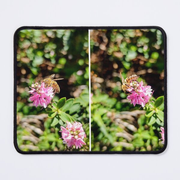 Item preview, Honeybee on Pink Flower designed and sold by Bee Buddy Photography.