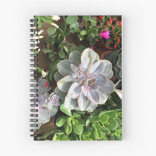 Item preview, Succulents, Echeveria, Cactus... designed and sold by EleniA8.