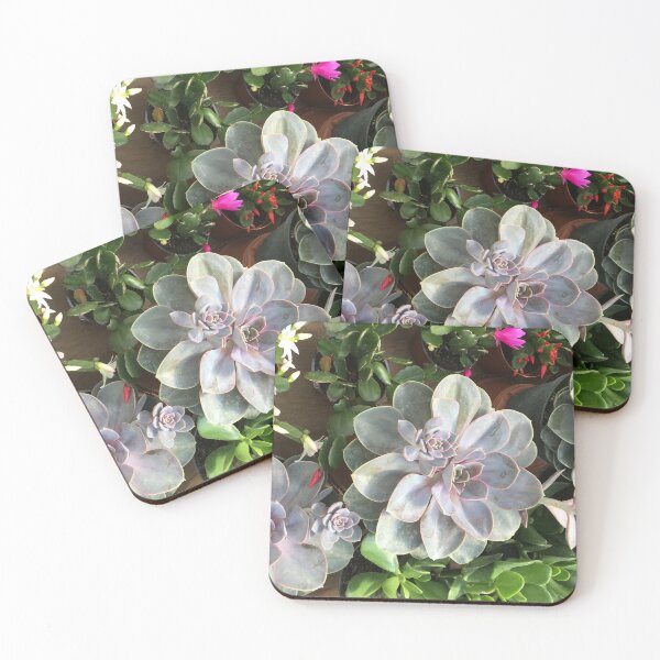 Item preview, Succulents, Echeveria, Cactus... designed and sold by EleniA8.