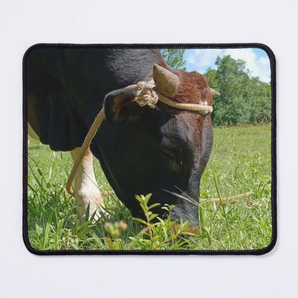 Item preview, Grazing Bull on Green Pasture designed and sold by PicturePic.