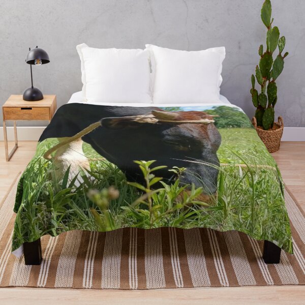 Item preview, Grazing Bull on Green Pasture designed and sold by PicturePic.