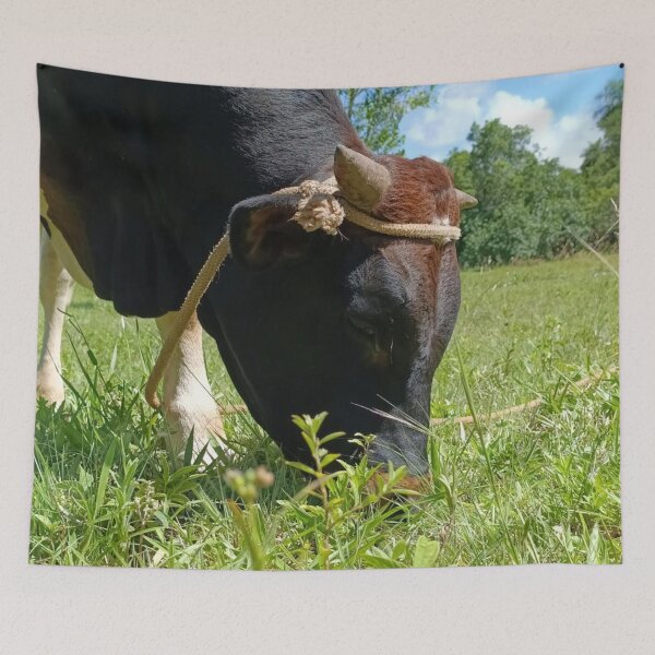 Item preview, Grazing Bull on Green Pasture designed and sold by PicturePic.