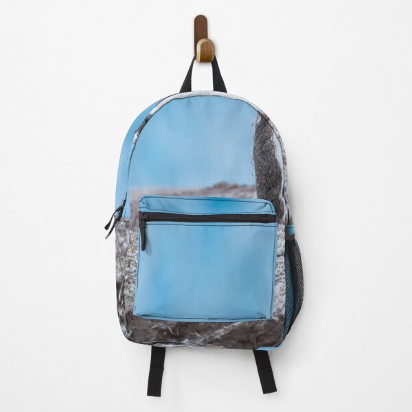 Item preview, Gentoo Penguins on a Snowy Ridge designed and sold by burritobynature.