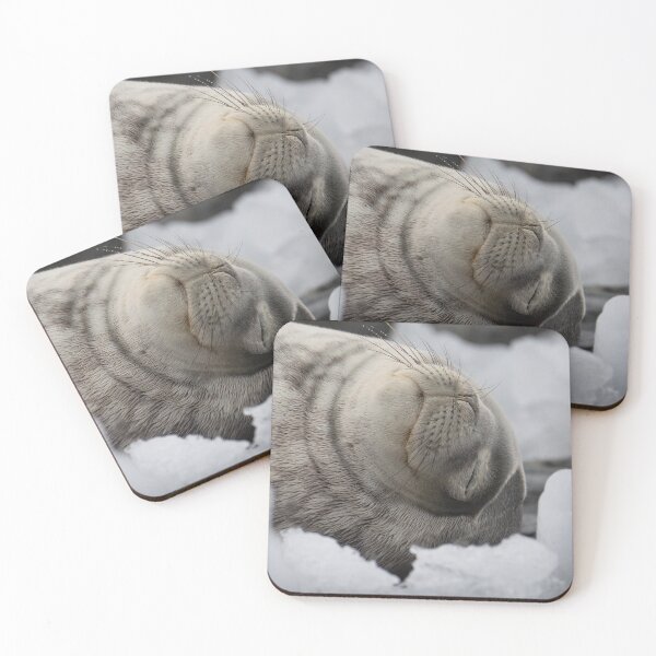 Item preview, Weddell Seal Resting Among Icebergs designed and sold by burritobynature.