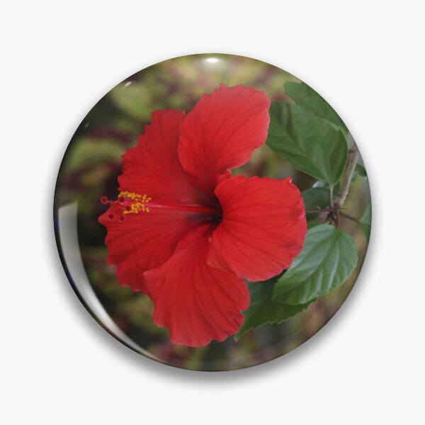 Item preview, red hibiscus flower designed and sold by EleniA8.