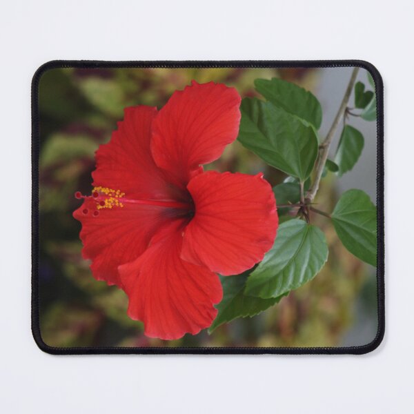 Item preview, red hibiscus flower designed and sold by EleniA8.