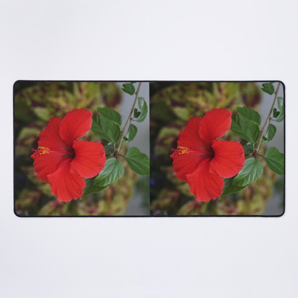 Item preview, red hibiscus flower designed and sold by EleniA8.