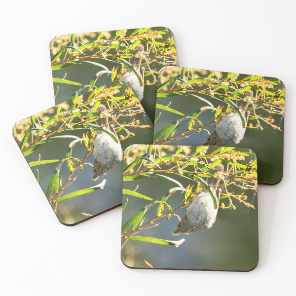 Item preview, Brown Thornbill feeding upside down designed and sold by Malcolm Katon.