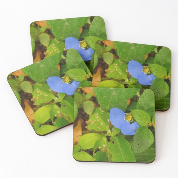 Item preview, Vibrant Blue Asian Dayflower in Lush Green Leaves designed and sold by PicturePic.