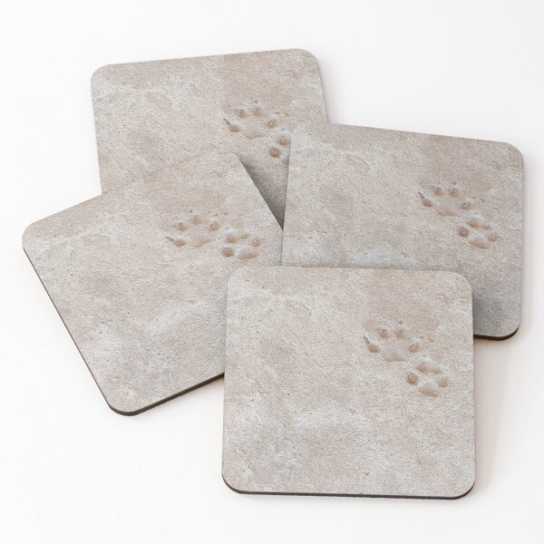 Item preview, Paw print in stone. Rustic dog track. designed and sold by PicturePic.