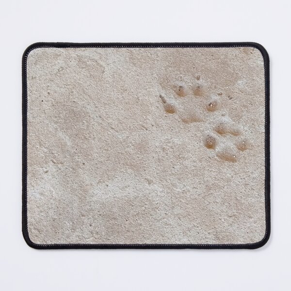 Item preview, Paw print in stone. Rustic dog track. designed and sold by PicturePic.
