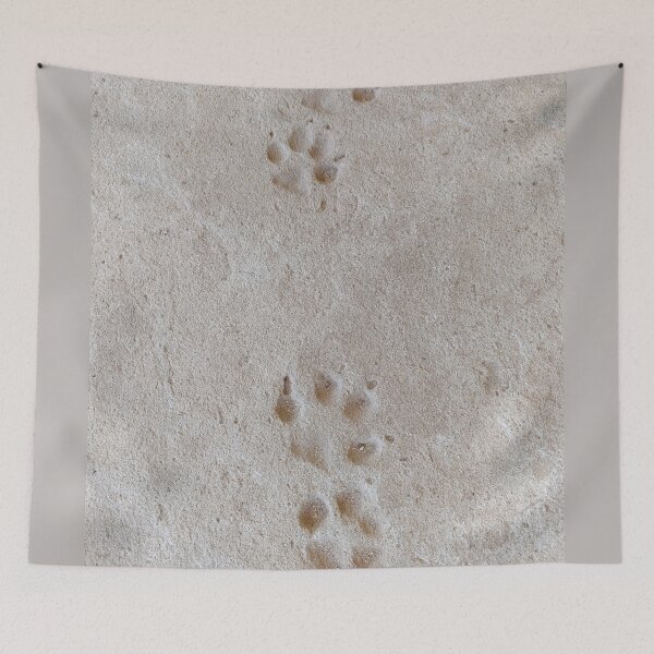 Item preview, Paw print in stone. Rustic dog track. designed and sold by PicturePic.