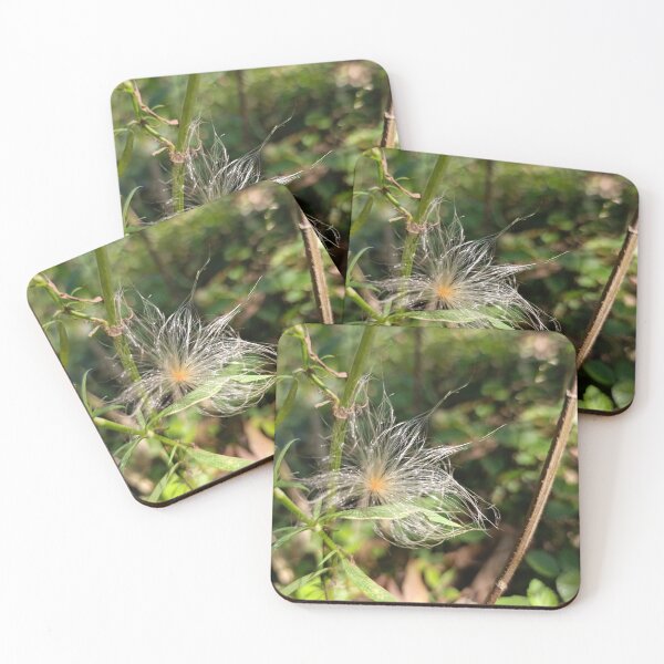 Item preview, Wild Seed Head Macro in Sunlight designed and sold by PicturePic.