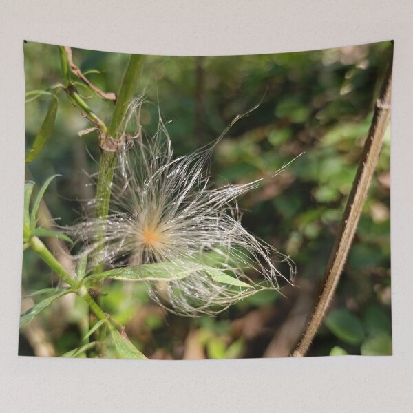 Item preview, Wild Seed Head Macro in Sunlight designed and sold by PicturePic.