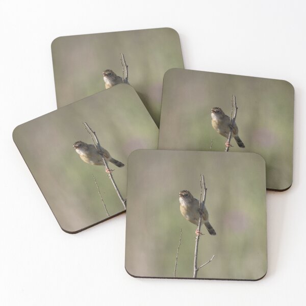 Item preview, Golden-headed Cisticola designed and sold by Malcolm Katon.
