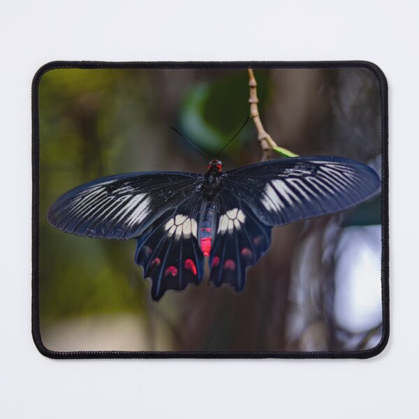 Item preview, Midnight Rose Butterfly  designed and sold by Twisted Light Images.