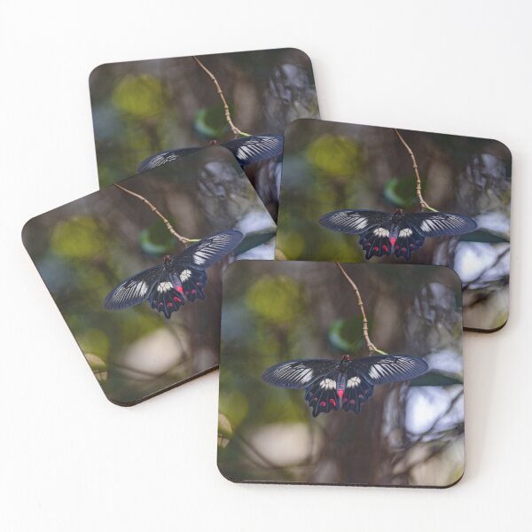 Item preview, Midnight Rose Butterfly  designed and sold by Twisted Light Images.