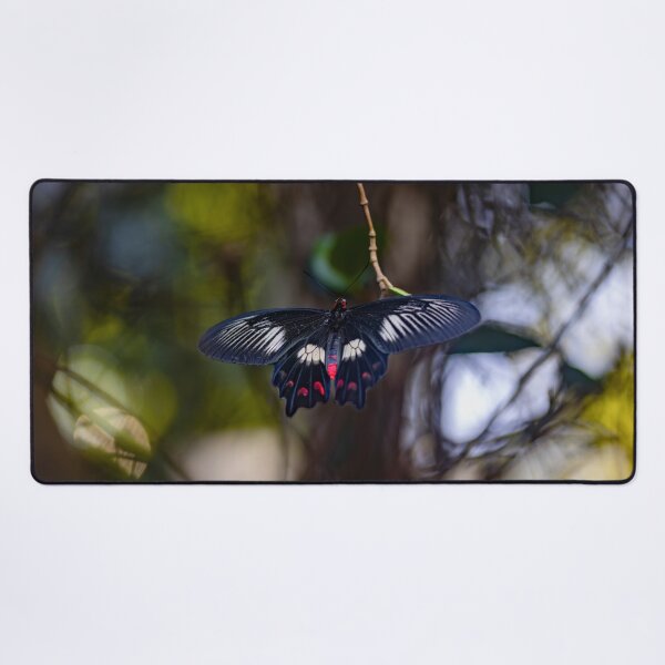 Item preview, Midnight Rose Butterfly designed and sold by Twisted Light Images.