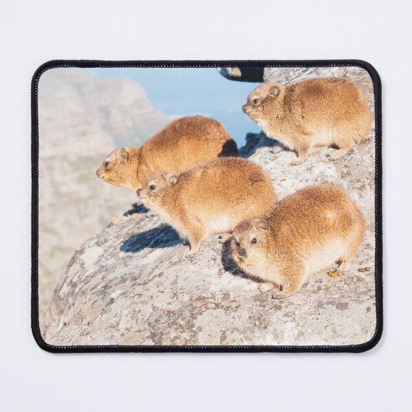 Item preview, The rock hyrax (dassie) designed and sold by Gilmore Photography.