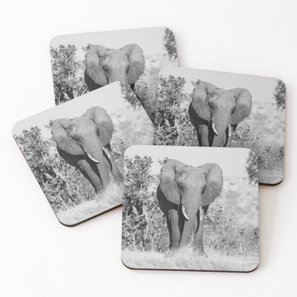 Item preview, An African elephant standing alone in the savannah designed and sold by Gilmore Photography.
