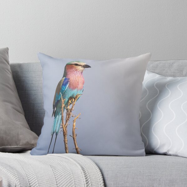 Item preview, African lilac-breasted roller designed and sold by Gilmore Photography.
