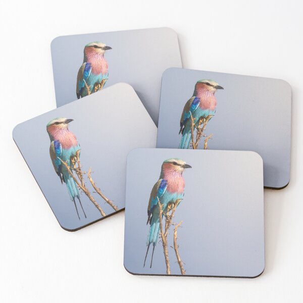 Item preview, African lilac-breasted roller designed and sold by Gilmore Photography.