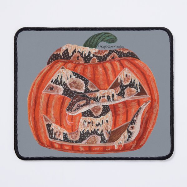 Item preview, Ball python in a carved pumpkin designed and sold by WolfRaven Creations.