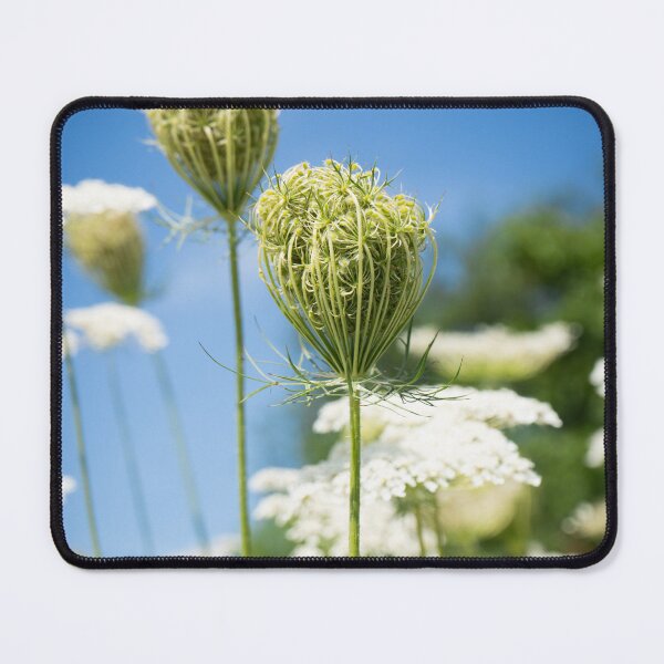 Item preview, Whimsical Wildflower designed and sold by Julie Navitka.