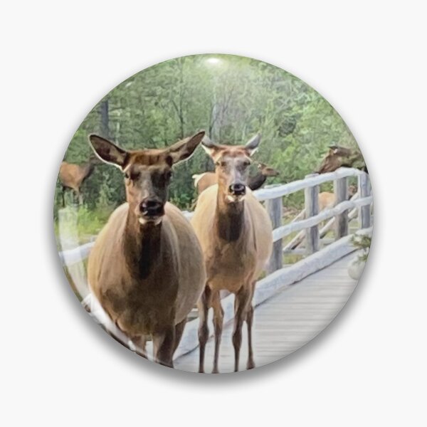 Item preview, Deer in Pyramid Lake designed and sold by CanNature.