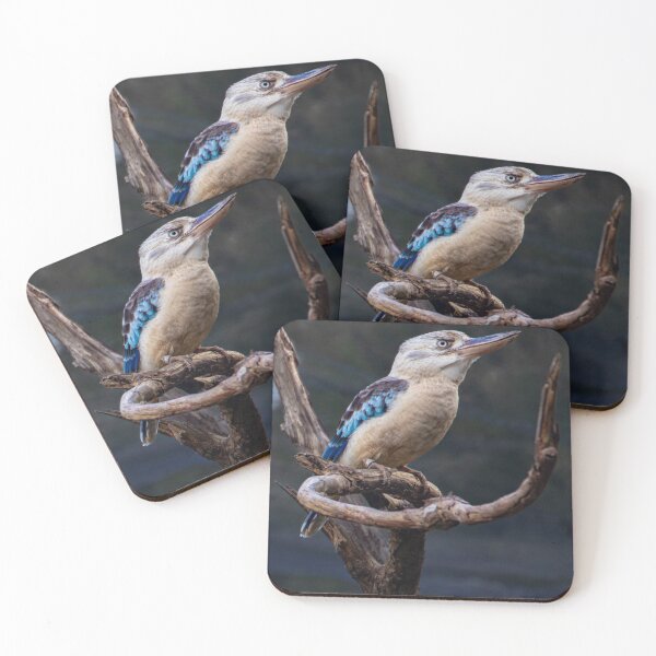 Item preview, Blue-Winged Kookaburra Perched on a Branch designed and sold by Twisted Light Images.