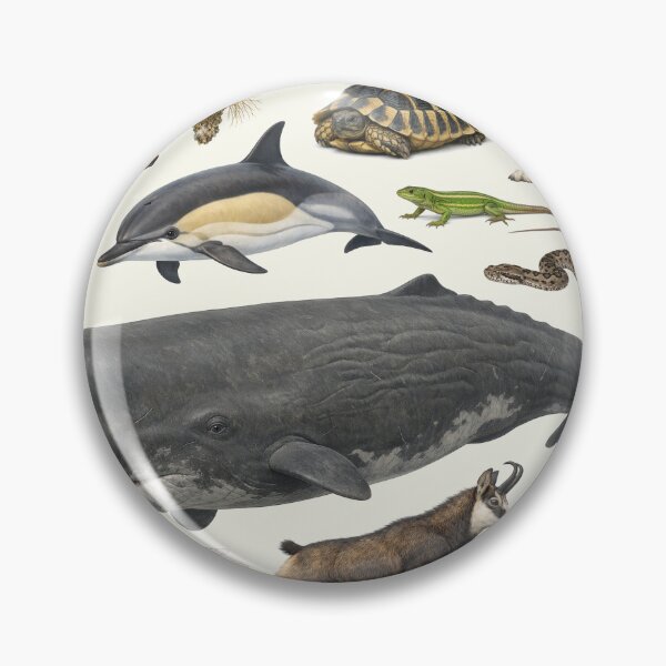 Item preview, Native Animals of Greece Retro Style Identification Chart designed and sold by kakarikihill.