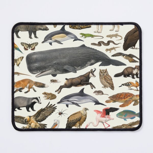 Item preview, Native Animals of Greece Retro Style Identification Chart designed and sold by kakarikihill.