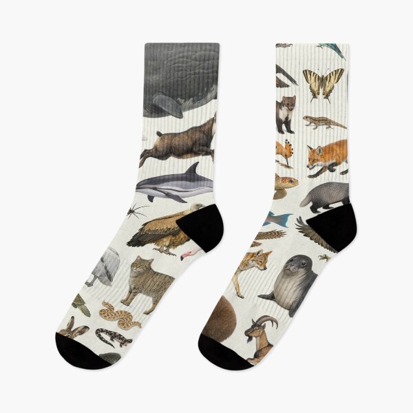 Item preview, Native Animals of Greece Retro Style Identification Chart designed and sold by kakarikihill.