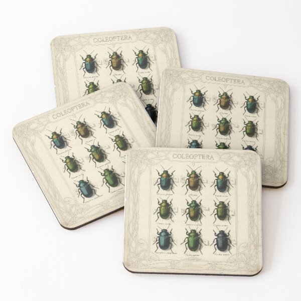Item preview, Vintage Beetle Taxonomy Chart designed and sold by PictorialWhimsy.