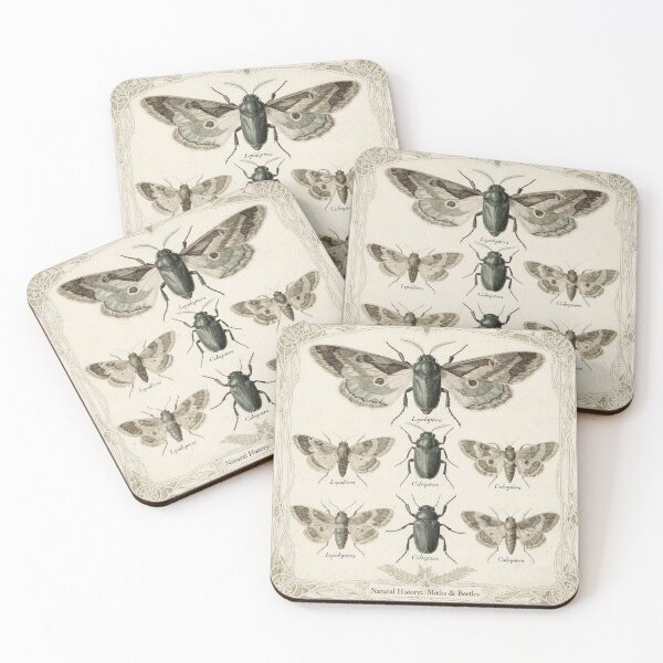 Item preview, Vintage Moth and Beetle Plate designed and sold by PictorialWhimsy.