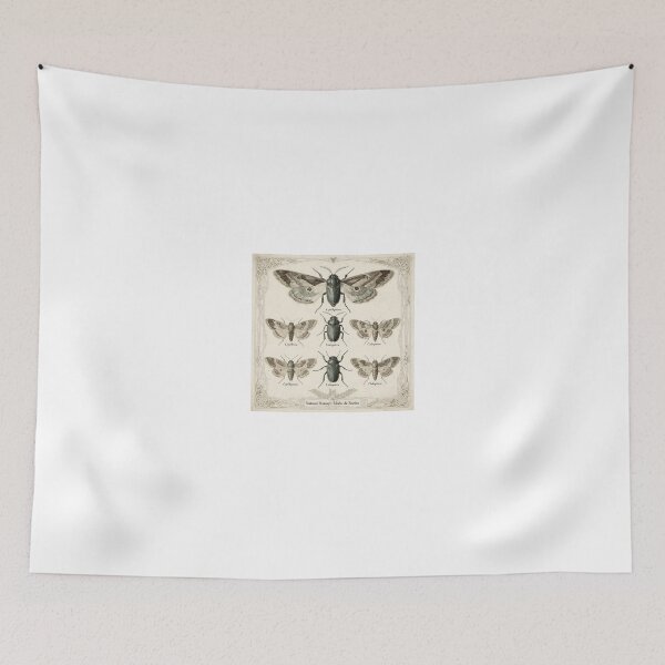 Item preview, Vintage Moth and Beetle Plate designed and sold by PictorialWhimsy.