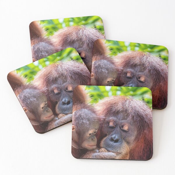 Item preview, Orang Utans  08 designed and sold by photograham.