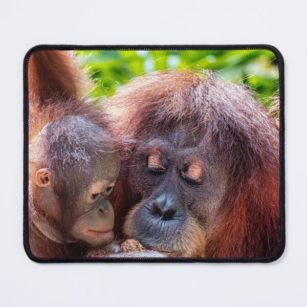Item preview, Orang Utans  08 designed and sold by photograham.