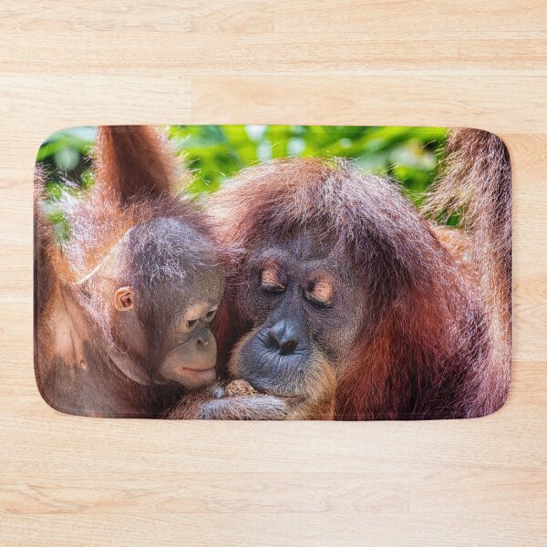 Item preview, Orang Utans  08 designed and sold by photograham.