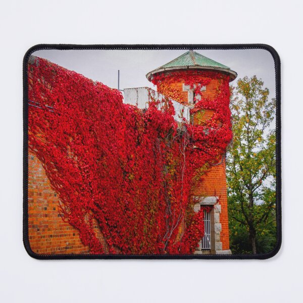 Item preview, Old Castlemaine Gaol designed and sold by D-GaP.