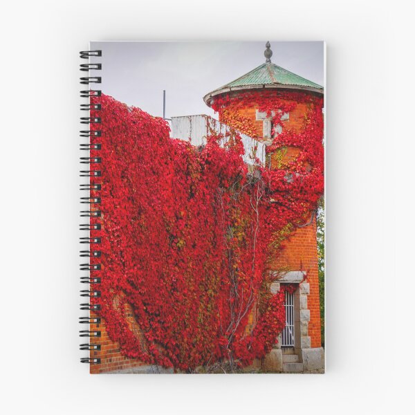 Item preview, Old Castlemaine Gaol  designed and sold by D-GaP.